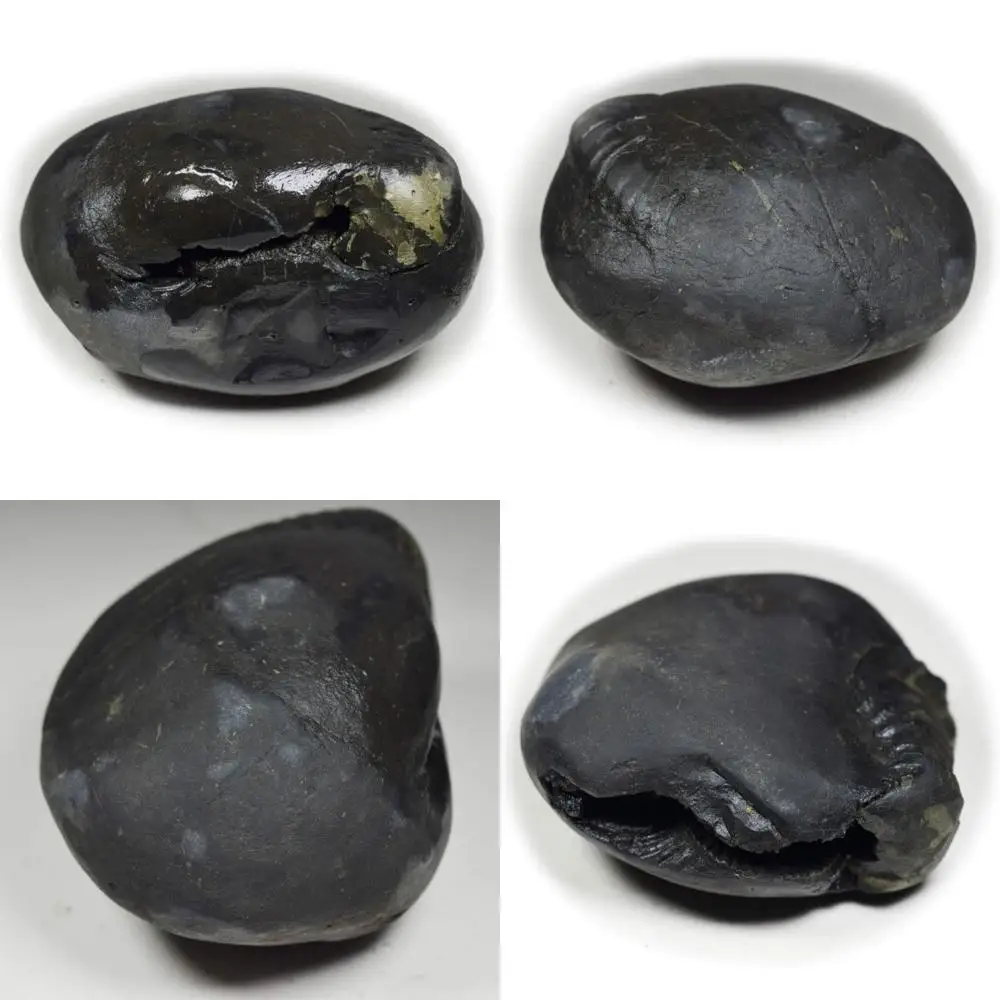 

Оптовая продажа качества A + 55-каратный камень Lord Vishnu Shaligram Fossil Stone от реки Gandaki, Nepal - оригинальный сакральный драгоценный камень