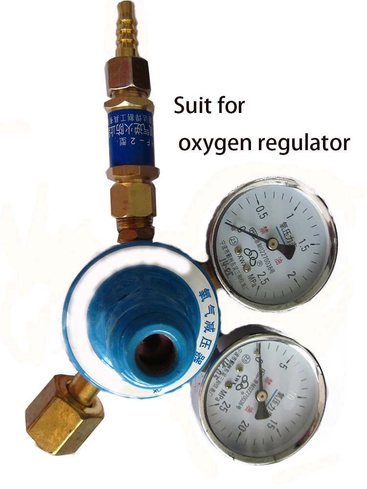 Oxygen and Acetylene Flashback Arrestor for Pressure Reducer Regulator Flame Cutting