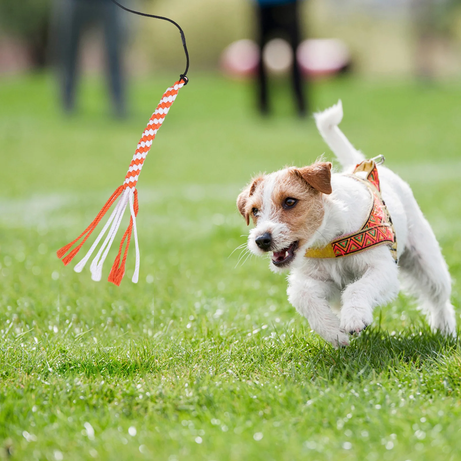 

Retractable Dog Training Stick Pet Accessory Interactive Tool Stretchable Design Durable Material No Crack Crush