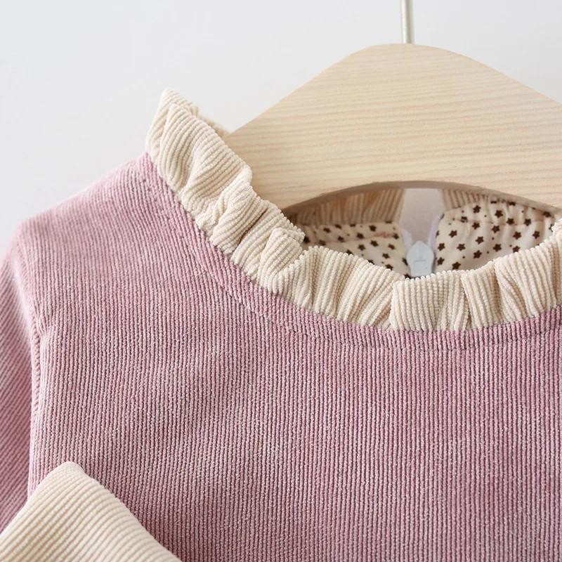 2024 New In Spring Autumn Baby Clothes Outfit Toddler Girl Dresses Korean Cute Big Bow Fleece Long Sleeve Pink Kids Dress BC1385
