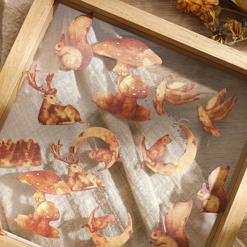 1pack/15pcs Nature Dried Leaf Specimen Sticker Set, Aesthetic DIY Collage Decals for Hand Journal Scrapbook and Handcraft Projec