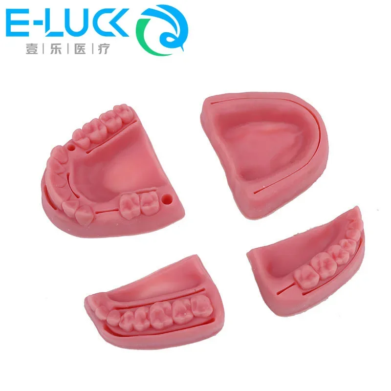 4Pcs/Set Dental Oral Gum Suture Model Silicone Periodontitis Suture Skill Practice Tool Dental Teaching Instruments