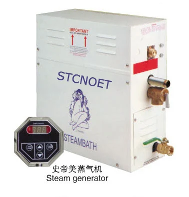 Modern Home Bathroom Portable Sauna Wholesale Mini Electric Steam Generator Wet Steam Computer Control Panel Acrylic Shower