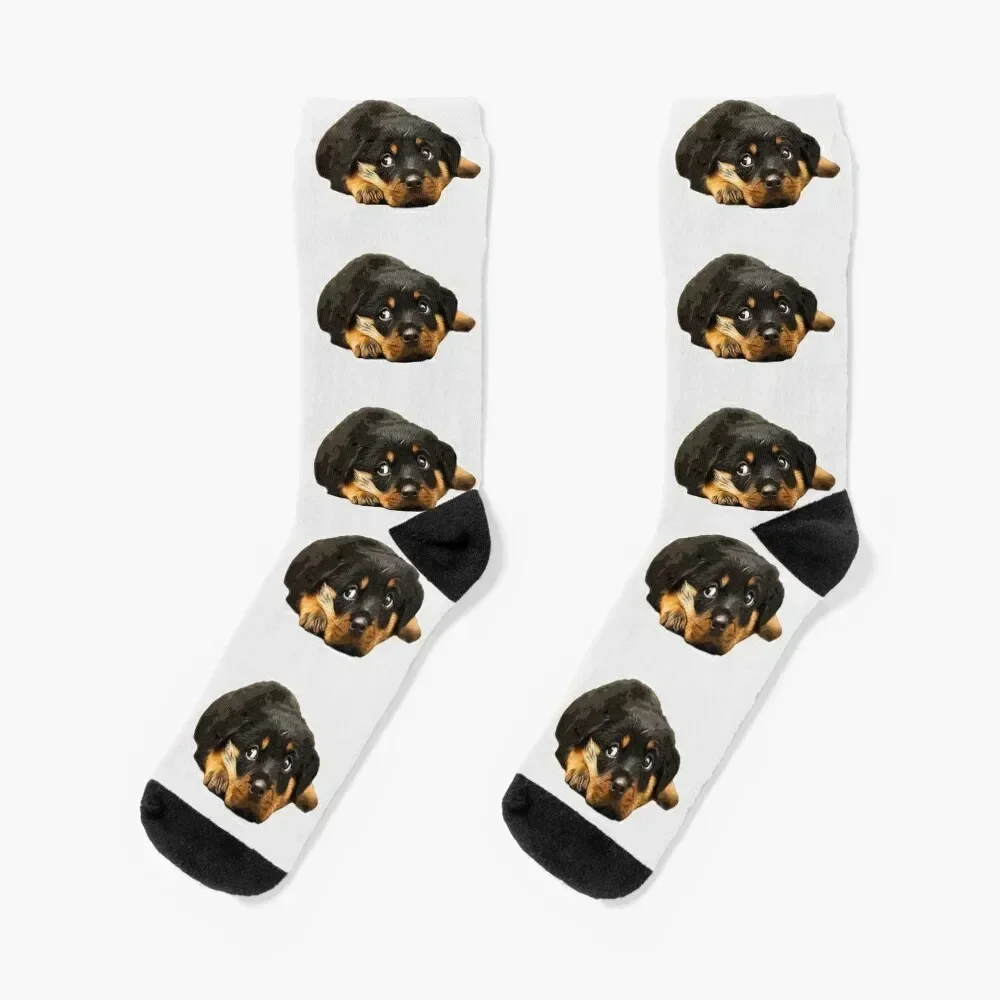 

Rottweiler Cutest there is! Socks Antiskid soccer New year's Non-slip sports and leisure Men's Socks Luxury Women's