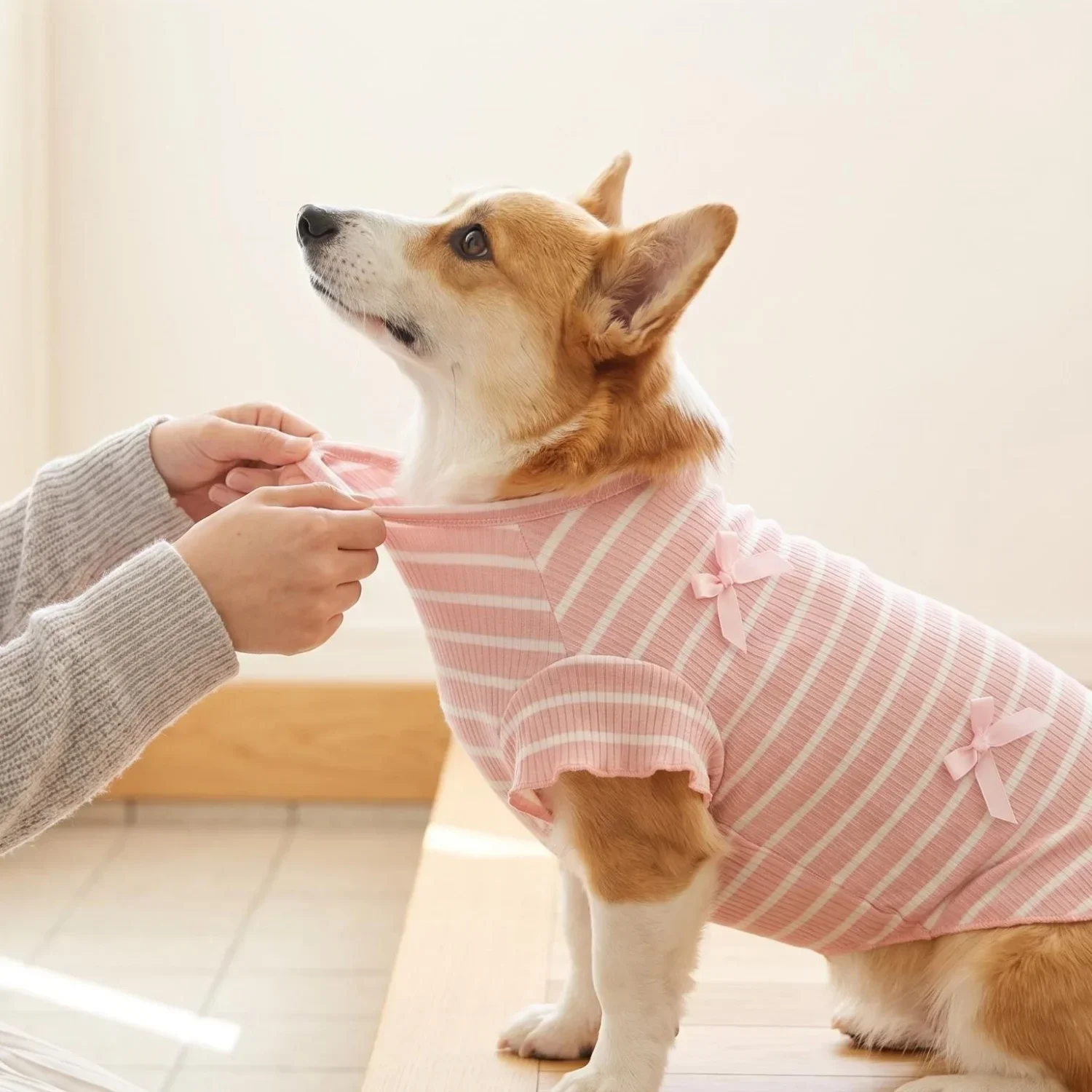 1 Stück Niedliches Hundeshirt mit Schleifendekoration, Gestreift, Weich, Dehnbar, Gerippt, Katzen-T-Shirt, Frühling Sommer Atmungsaktive Haustierkleidung – Detail 6