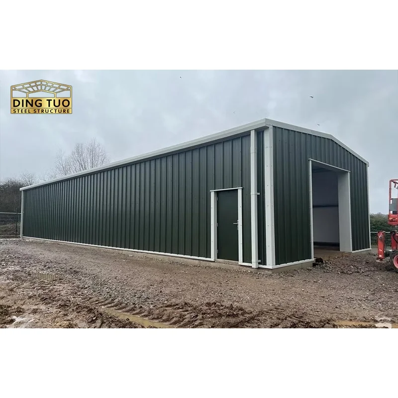 

Galvanized Steel Garage With Anti - Rust Coating, Easy - To - Assemble Design, For Residential And Commercial Parking