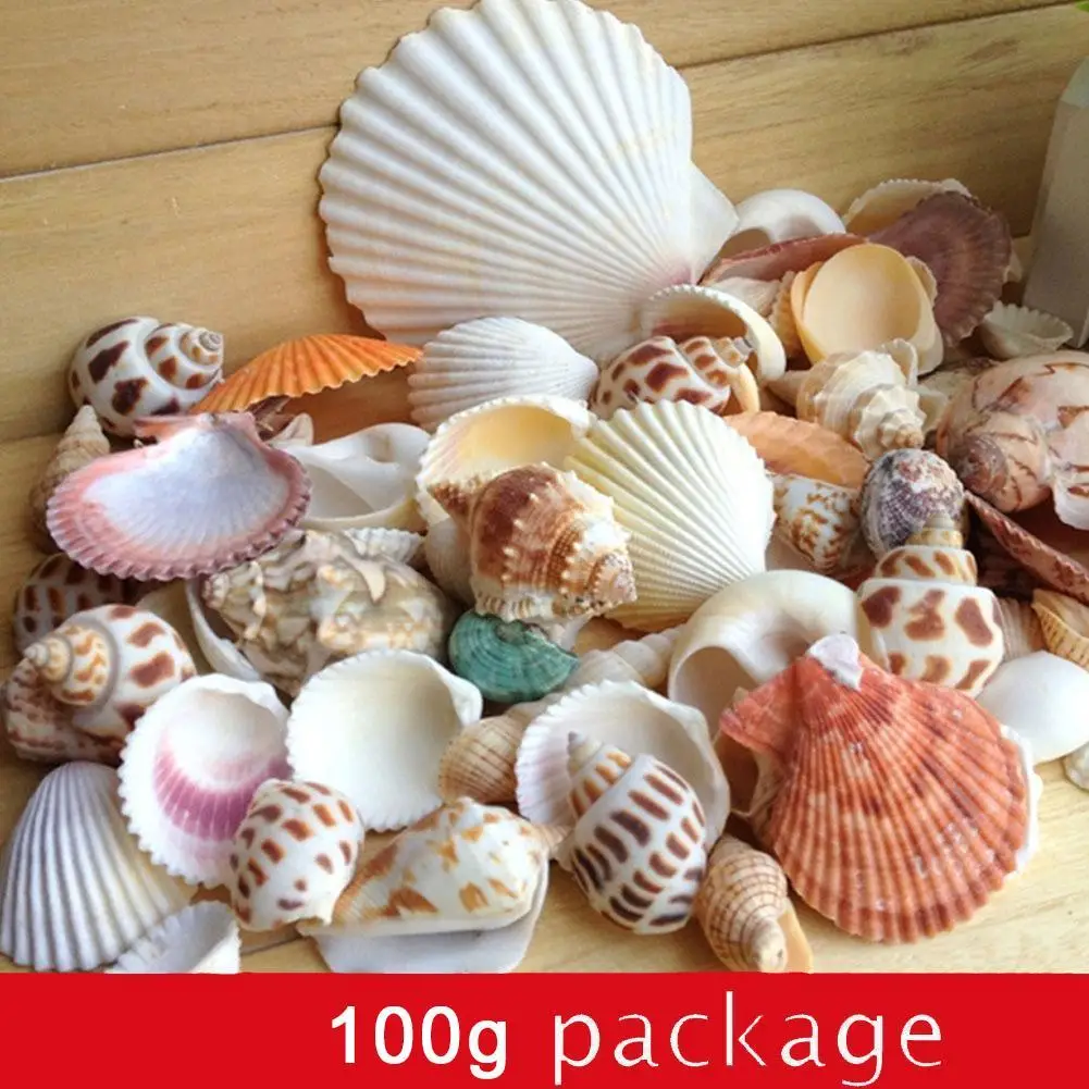 100 g/bolsa de conchas mixtas de mar y playa, manualidades, conchas marinas, Mini Concha Natural, tornillo de maíz, bricolaje, decoración de paisaje de acuario, accesorios para fotos