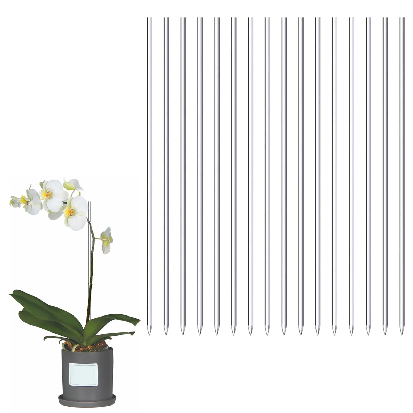 

Acrylic Indoor Plants Support Sticks Reusable Plants Grow Upright Stakes for Indoor and Outdoor Plants