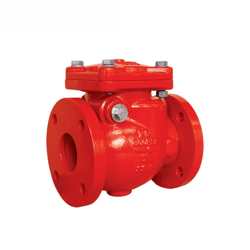 Swing check valve