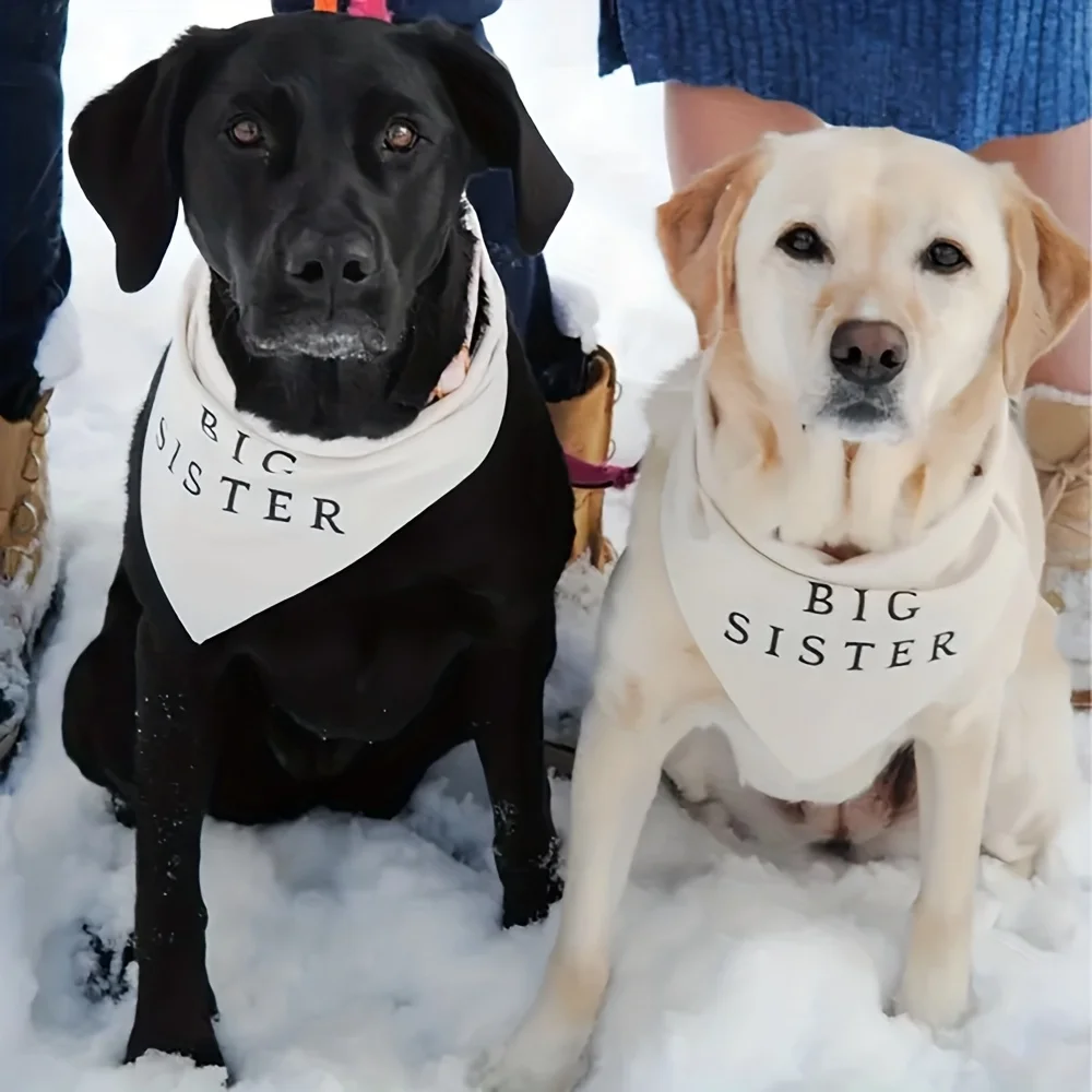 1pc Big Sister Brother Dog Bandana - Gender Reveal Pregnancy Announcement Pet Scarf with Names, Baby Shower Outfit for Puppy