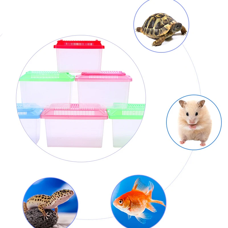 Acuario de alimentación transparente portátil, productos para mascotas, tanque de peces dorados, tanque de tortuga, caja de hámster