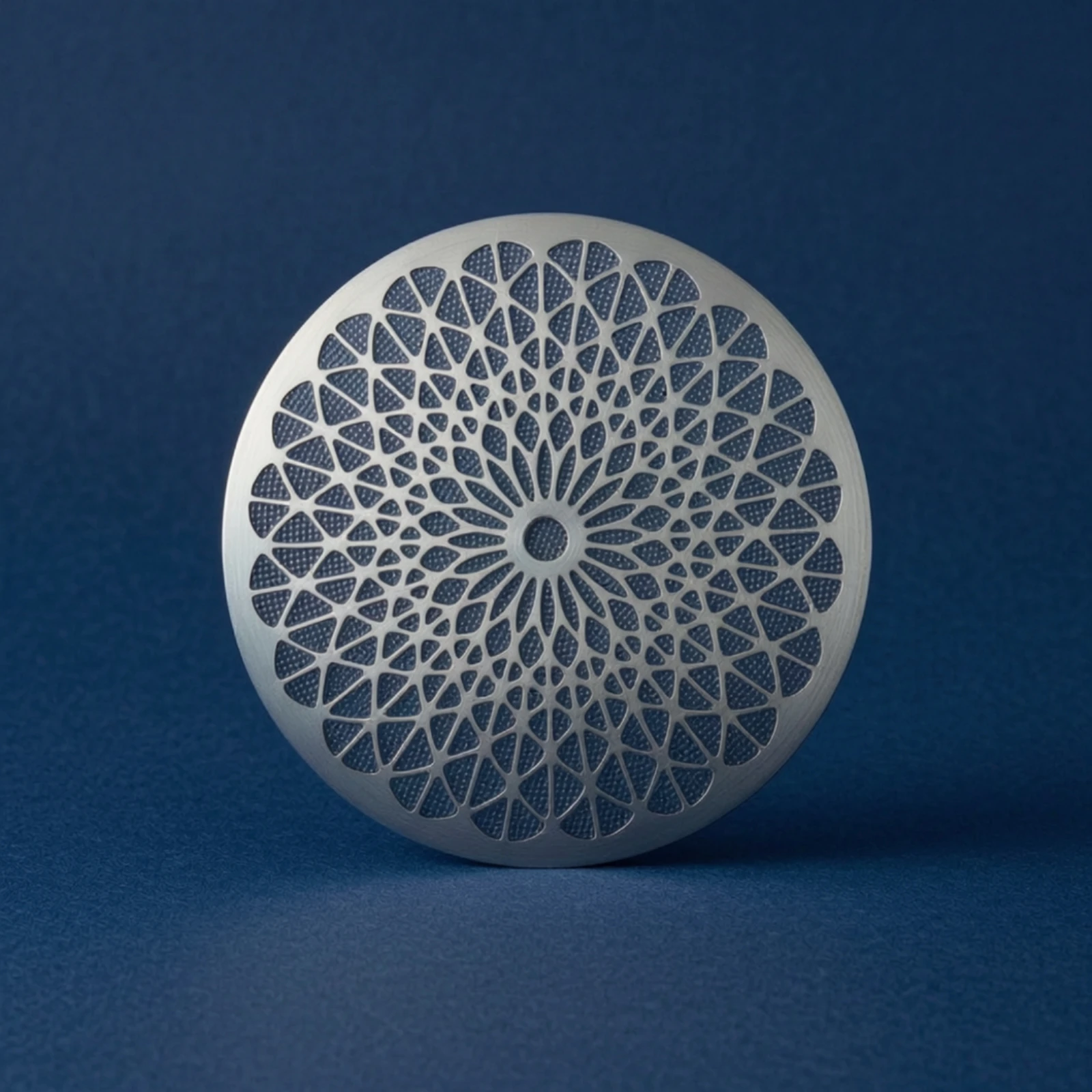 エスプレッソパックスクリーンはグループヘッドを清潔に保ちます - Stainless Steel Strainer のレビューと価格