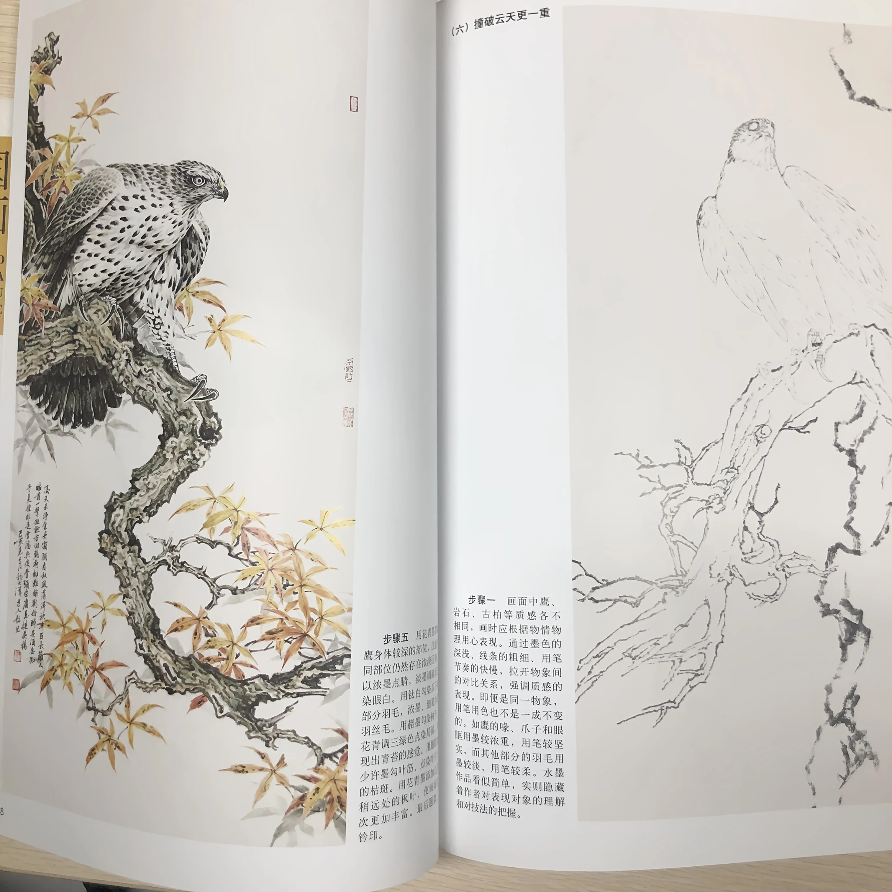 Техники рисования Raptor: Gongbi Eagle Eye & Talon Detailing Masterclass