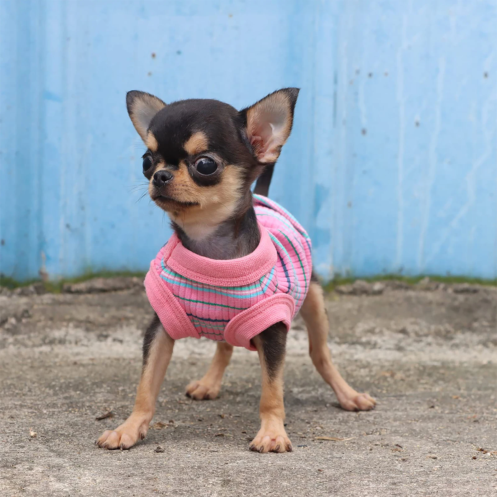 Pink Rib Dog Shirt Vest para cães pequenos, Chihuahua Puppy Clothes, Tank Tee