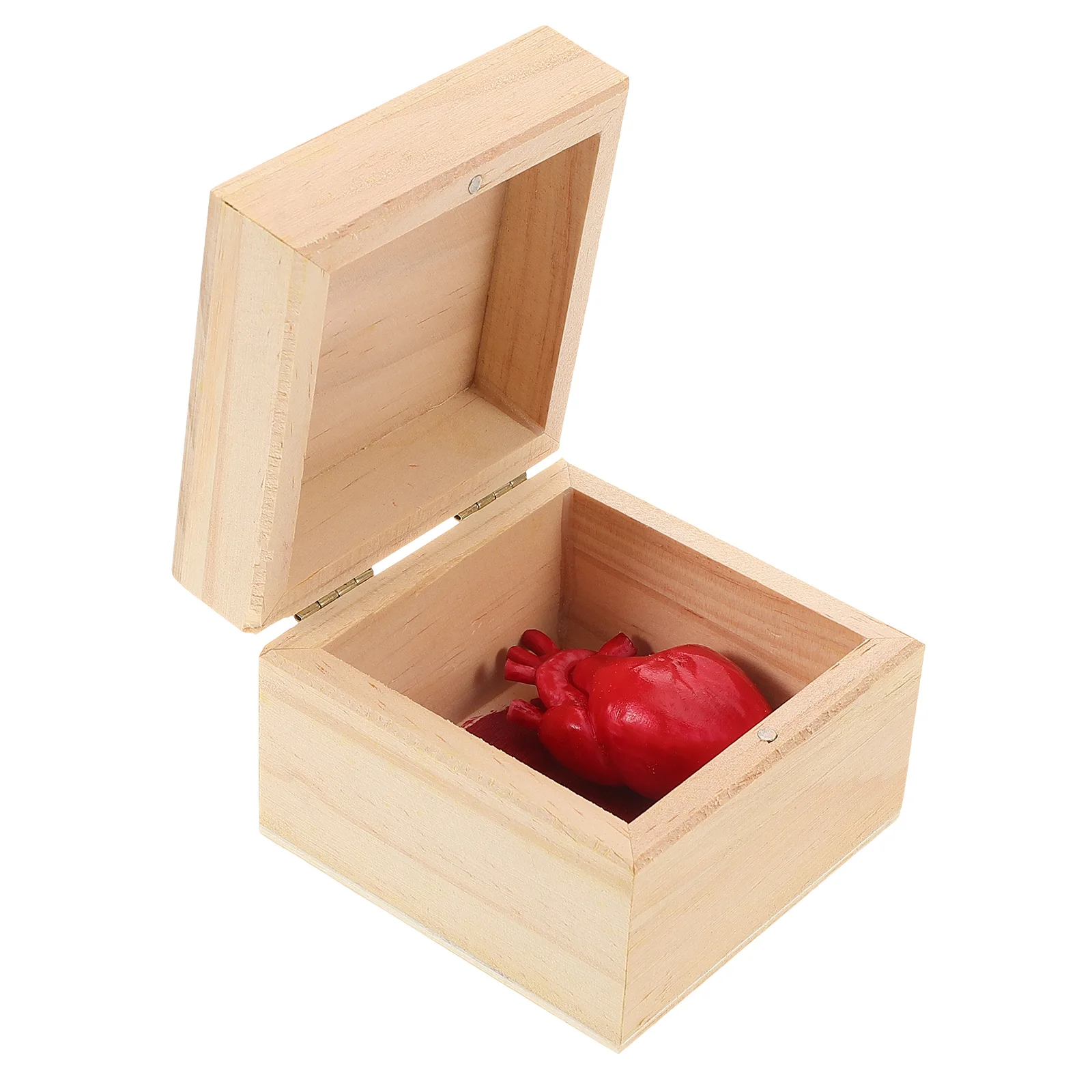 

Heart Bloody Realistic Prop Organs Halloween Spider Decor Human Beige Anatomical Heart Shaped Wooden Box Craft Unfinished Boxes