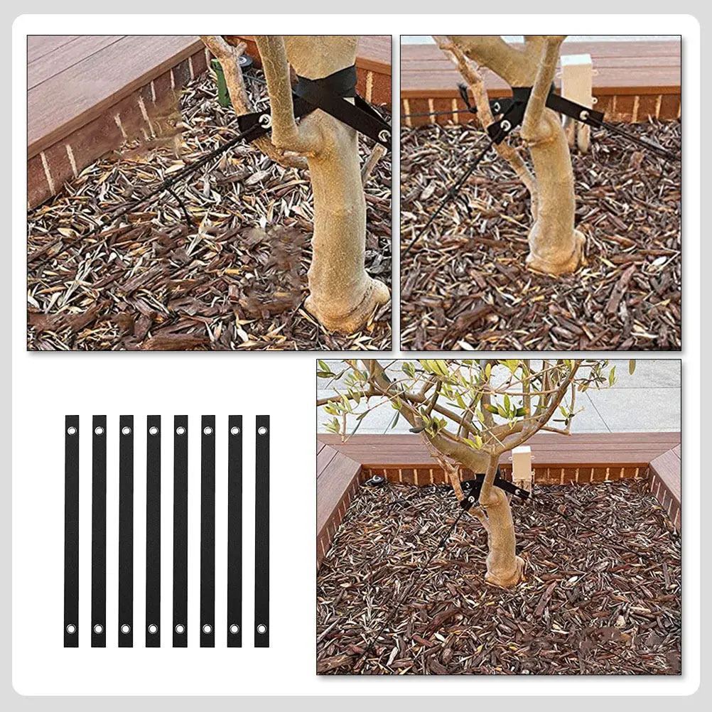 

8 шт. прочных износостойких ремней для подвязки саженцев, надежные нескользящие поддерживающие ремни для деревьев для садоводства