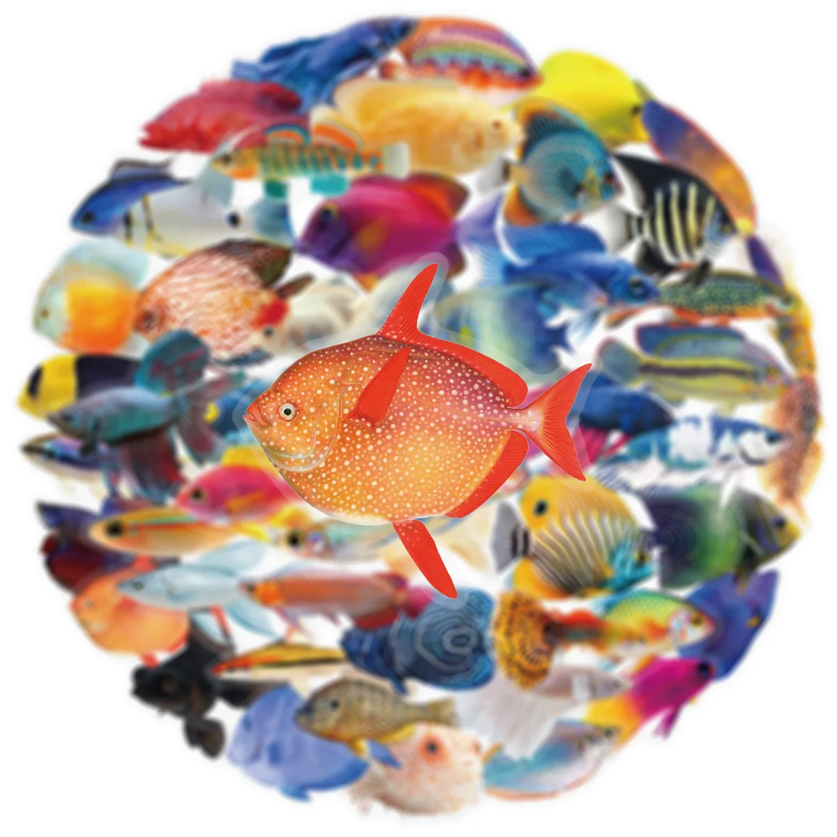 10/30/50PCS Trasparente Del Fumetto Adesivi Divertente Pesce Graffiti FAI DA TE Decorazione Animale Frigo Bagagli Laptop Chitarra Auto Bici giocattoli