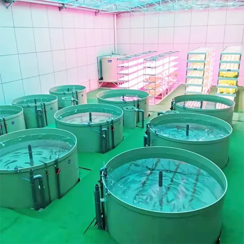 Ras System Tilapia Fish Egg Incubators Aquaculture Equipment Tanks for Indoor Fish Farming System Ras Tilapia