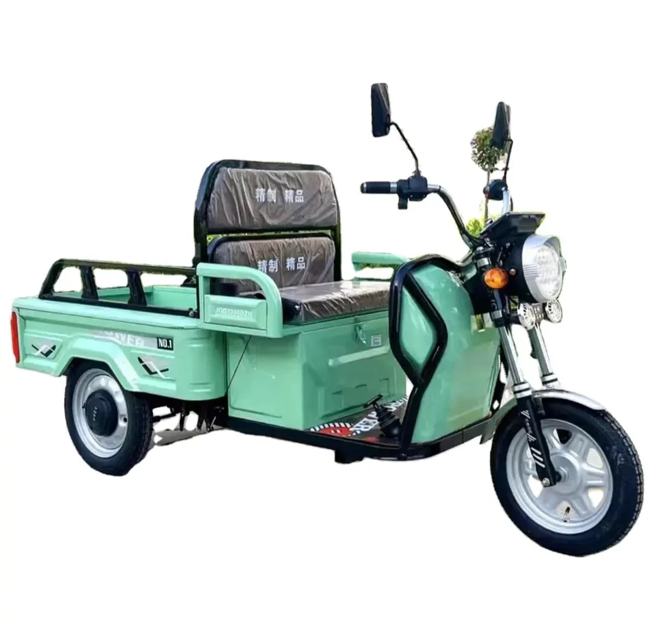 

Best Price Adult Trike 600W Electric Tricycle for Sale
