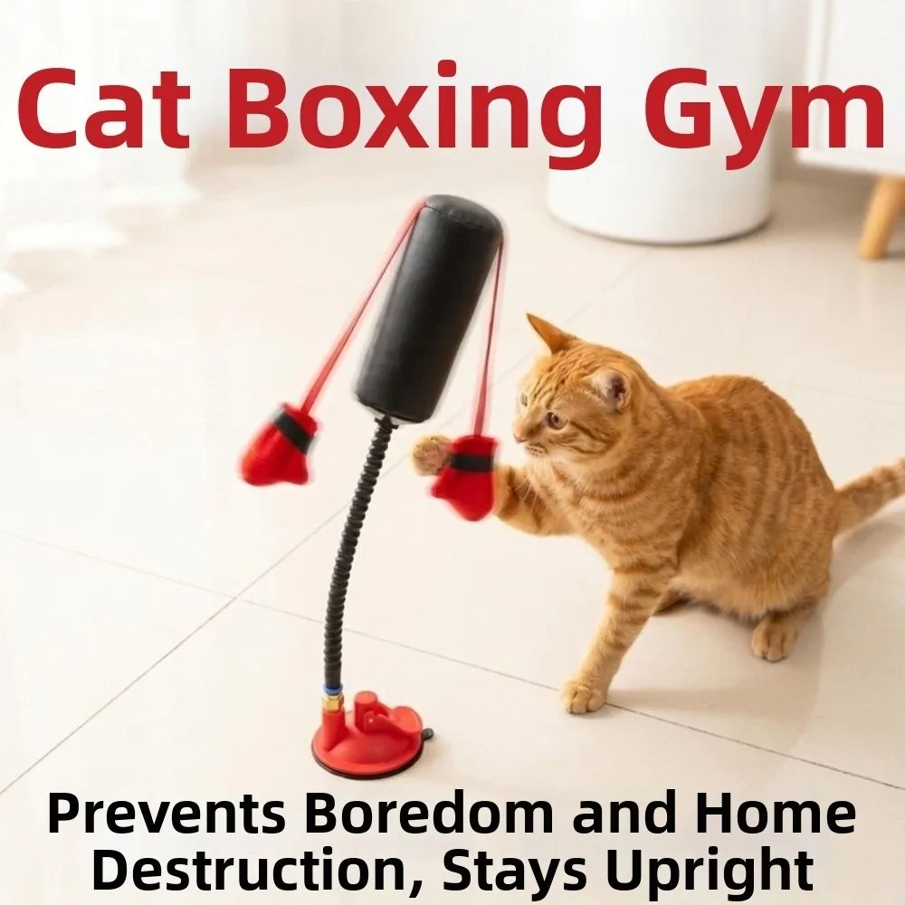 Creative Cat Boxing Suction Cup Base Self-Play Interactive Cat Boxing Gloves Bite Resistant Cat Speed Bag Kitten Teasing