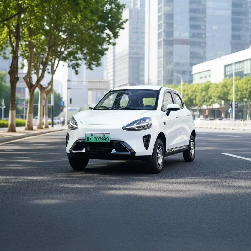 No Driving License Required Elderly Mobility Vehicle 3000W Customized Color Conditioning Adults Daily Use