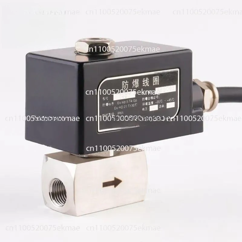 Explosion-proof Solenoid Valve Pilot Piston Type Two-way YCP31 YCH41 Series Petrochemical Industry
