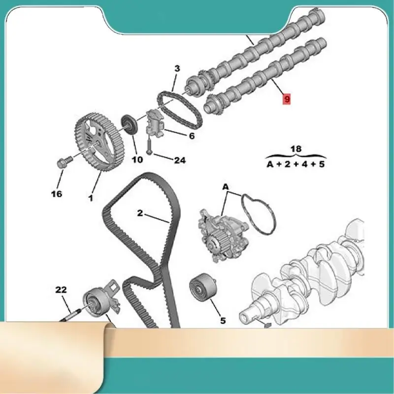 

Car Exhaust Camshaft 9825017880 For Ford OPEL VAUXHALL Citroen 208 308 5008 1.5Hdi Engine Cam Shaft Chain-N31R