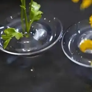 Floating Flower Vase Fresh Flower Hydroponic Vessel Floral Arrangement Artistic Vase Flower Holder Plant Display Home Decor
