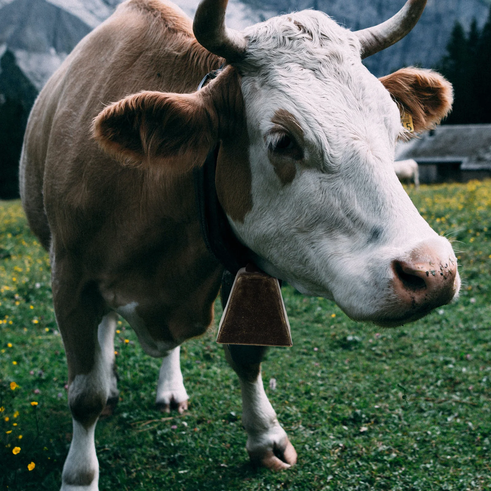 

Mini Vintage Cow Bell Metal Dog Collar Bell Pendant Decorative Hanging Clear Crisp Sound Noise Maker DIY Craft