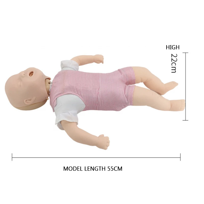 Infant infarction model Infant airway obstruction training model Cardiopulmonary resuscitation model Heimlich first aid training