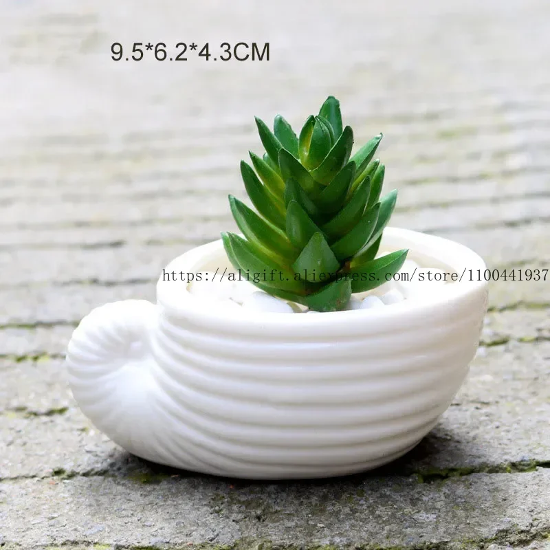 6pcs/set Succulent Plant Flower Pot Thumb Pot White Shell Conch Ocean Flower Pot Ceramic Home Decoration Ornament