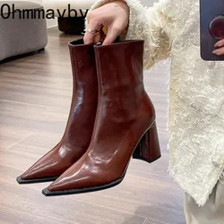 Winter Designer Enkellaarsjes Mode Terug Ritsen Puntschoen Dames Elegante Korte Pluche Korte Laarzen Hoge Hak Damesschoenen