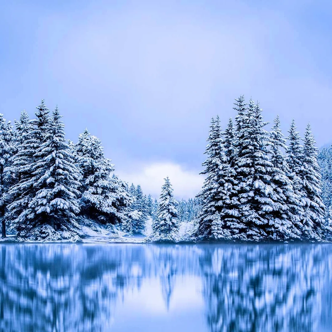 

Автомобильный радиоприемник Jy 15,6 Android 13, для Gmc Sierra Chevrolet Silverado 2019 2020 2021 2022 2023 Carplay GPS-навигация Мультимедиа