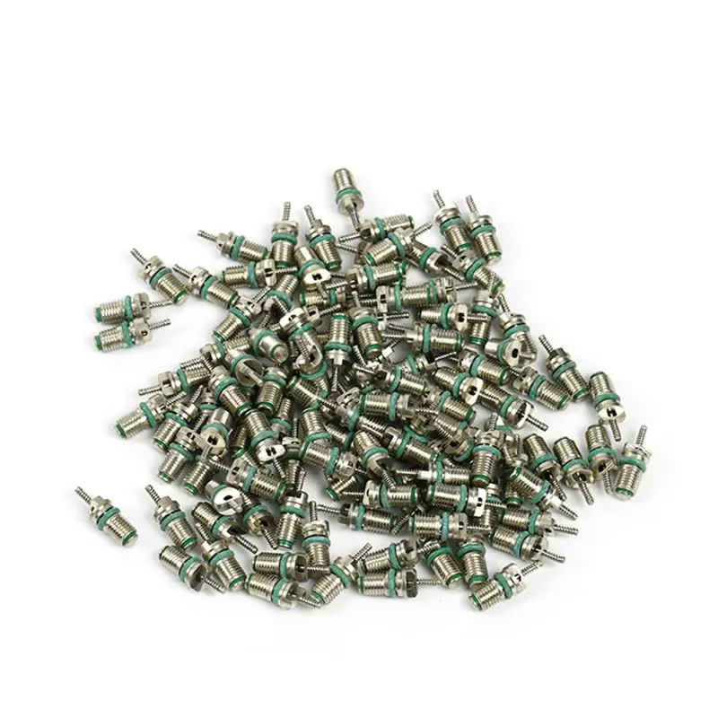 10 Pz/set AC R134A Nucleo Della Valvola Automotive Auto Aria Condizionata Core Aghi Kit di Riparazione Resistente Al Calore Veicolo Accessori Auto