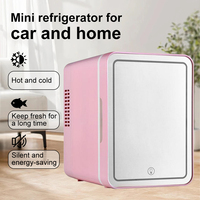 Car mini beauty refrigerator 4L, adjustable LED light mirror, household car small portable refrigerator freezer.