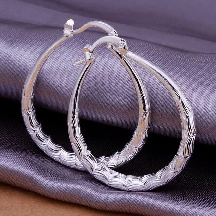 Fashion for Women 925 Sterling Silver Wedding Hook Beautiful High Quality Earring Jewelry Cute Gift