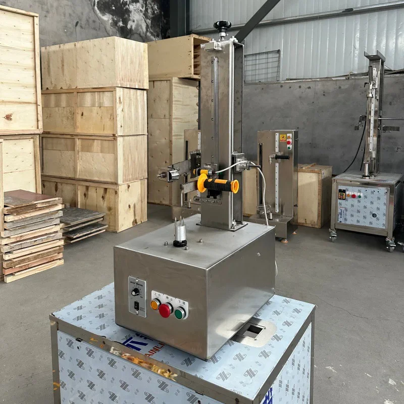 &Pumpkin and Pineapple Peeler, High-Speed Fruit and Vegetable Peeler, Industrial Kitchen, Upper and Lower Circulating