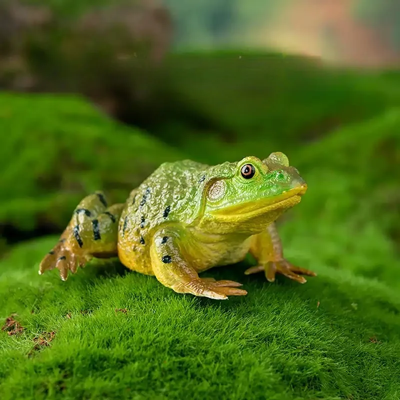 Mole Toys TOYMANY Simulation Animal Model Tree Frog Frog Toy American Bullfrog Children's Cognitive Enlightenment