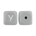 Y