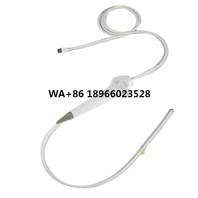 HD image Bronchoscope ENT Endoscopy Factory Direct Sale BESDATA Flexible Disposable Bronchoscope with