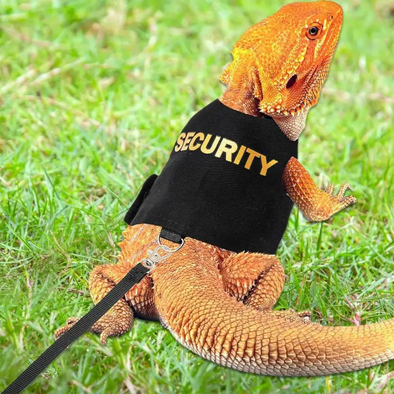 Uprząż i smycz dla gadów Jaszczurka Gecko Brodaty Smok Wygodne ubranka dla zwierząt domowych na zewnątrz Kameleon — zdjęcie 5