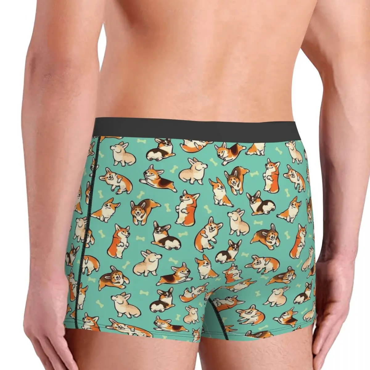 Jolly Corgis In Green Men's Boxer Briefs Boxer Briefs Highly Breathable Underpants Top Quality Print Shorts Gift Idea