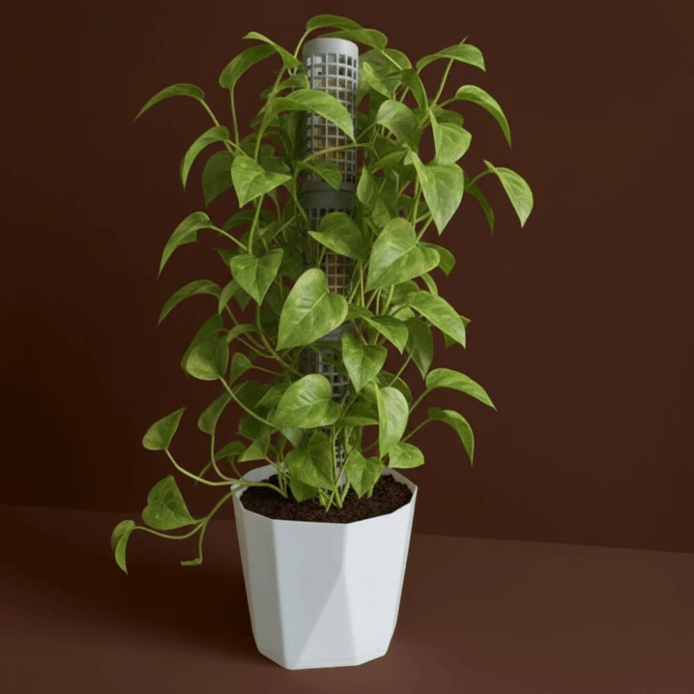 6PCS Plastic Moss Pole Interlocking Fixed Bracket Vine Climbing Column Sturdy Plants Growth Stand Outdoor Climbing