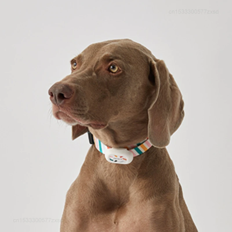 Xiaomi-Collar personalizado inteligente para perro y gato, etiquetas ajustables de nailon suave, impermeables, accesorios para mascotas