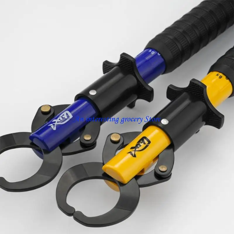 652D Fishes Lip Gra…