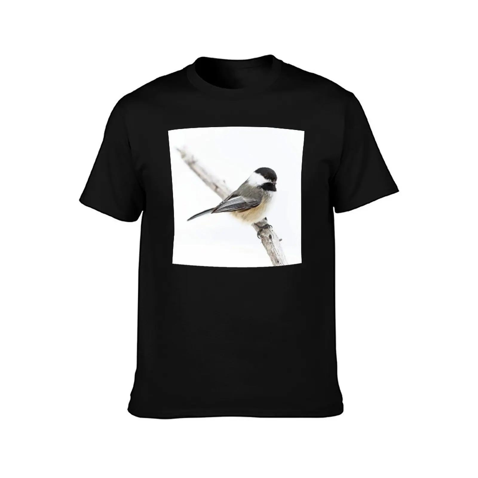 Algonquin Chickadee T-Shirt Big and Tall Solid Color T-Shirt