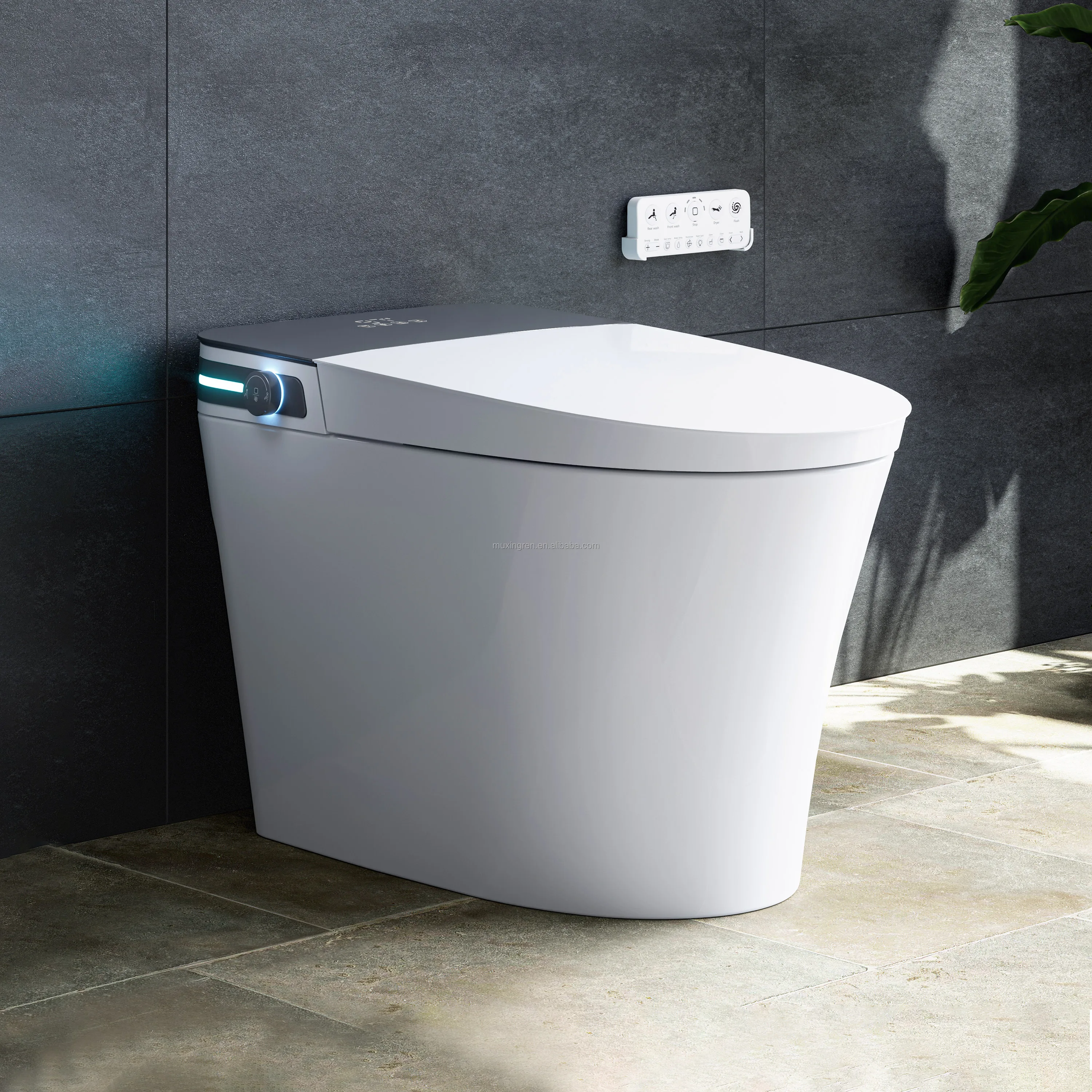 

10-Inch Rough-In Smart Toilet with Soft Wash & Easy Control