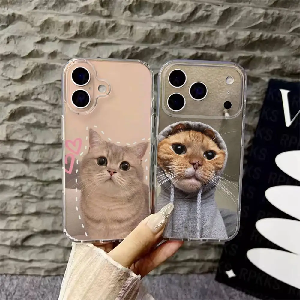 

Funny cute cat Phone Case For iPhone 6,16,15,14,13,12,11,17 Pro,Max,Plus,X,XS,XR,SE,Mini Transparent Soft Cover