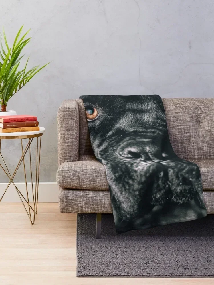 The art of dog Cane Corso - Italian Mastiff Throw Blanket Personalized Gift For Decorative Sofa Bed Luxury Blankets