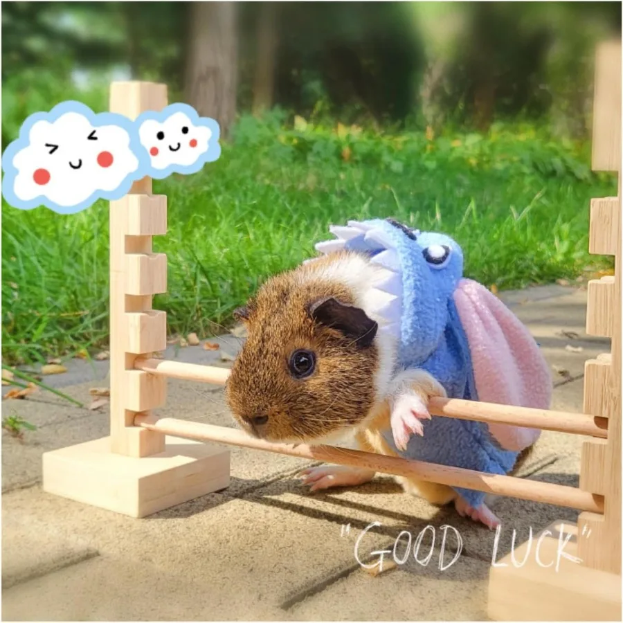 غينيا خنزير القفز بار تورال الخشب عقبة لعبة النشاط مجموعة ألعاب قابل للتعديل ارتفاع التدريب عقبات ممارسة ألعاب حيوانات صغيرة fo